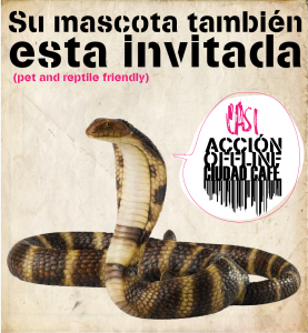 petfriendly CASI